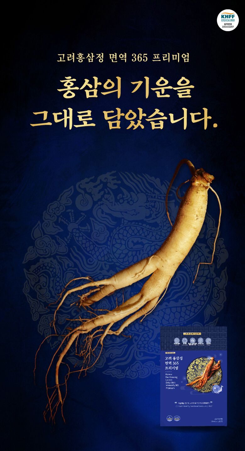 레이어 11